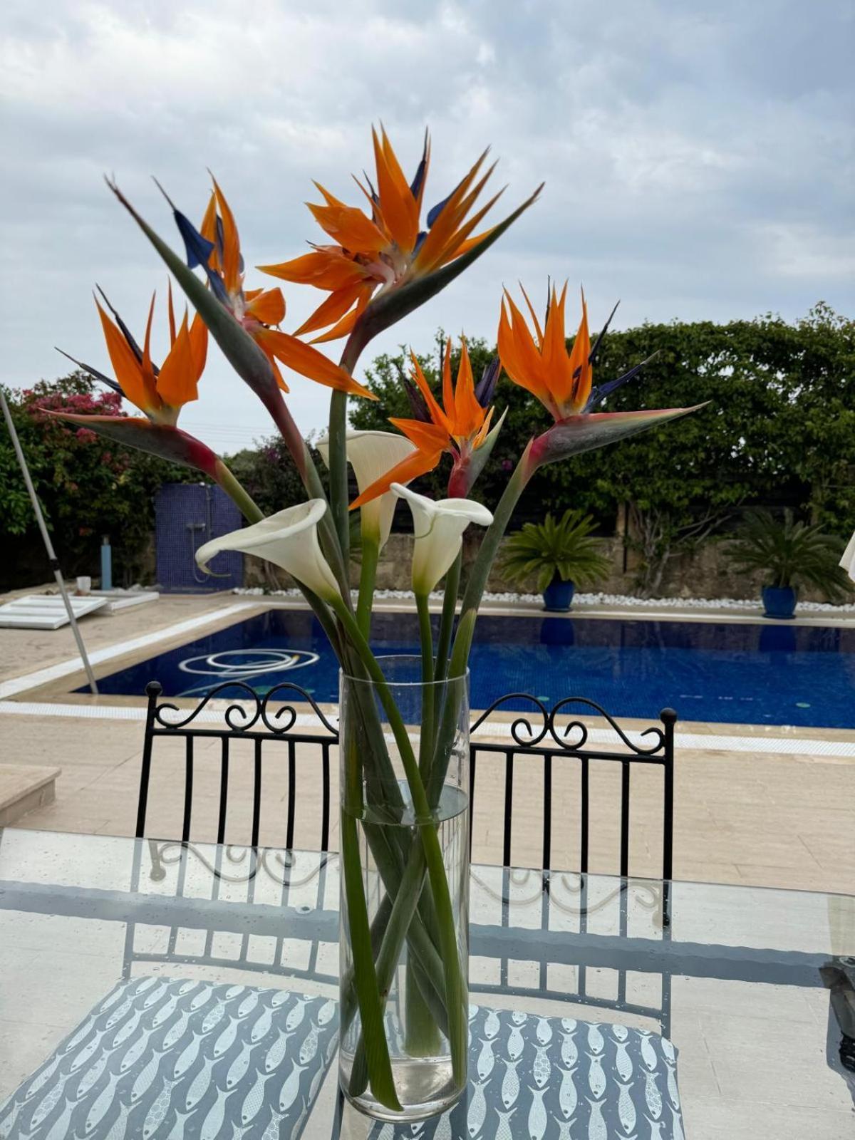 Casa Santos Kyrenia Villa Kyrenia  Exteriör bild